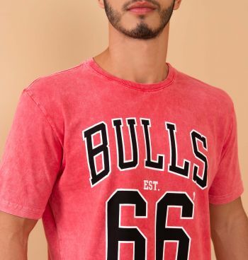 Camiseta Estonada Bulls 66
